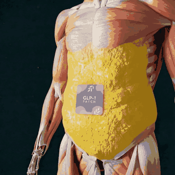 GLP-1 PATCH Body Animation